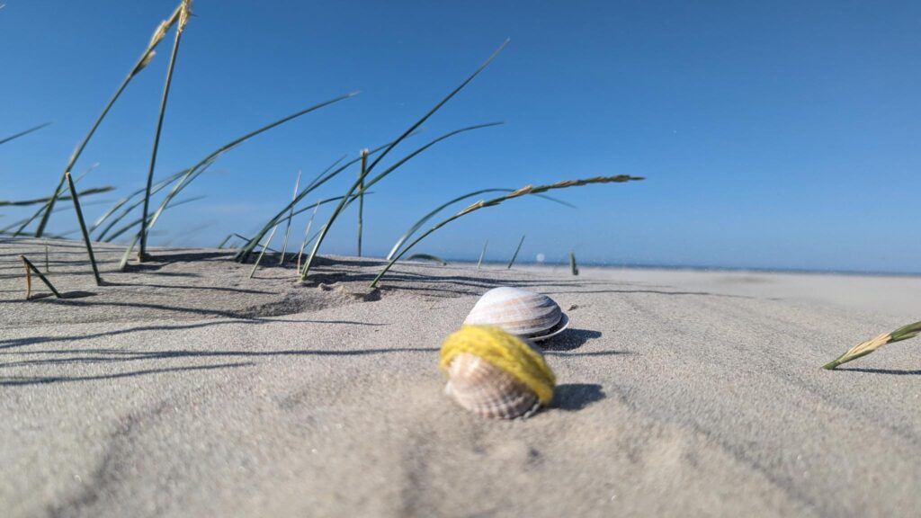 Auf einem Strand liegt eine doppelte Muschel, die mit einem gelben Wollfaden umwickelt wurde. schreiben und Basteln am Strand.